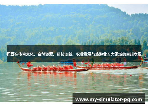 巴西在体育文化、自然资源、科技创新、农业发展与旅游业五大领域的卓越表现 巴西在体育文化、自然资源、科技创新、农业发展与旅游业五大领域的卓越表现