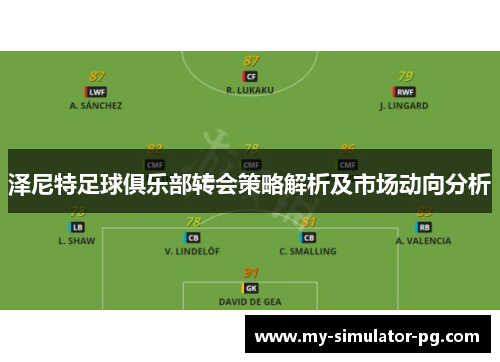 泽尼特足球俱乐部转会策略解析及市场动向分析